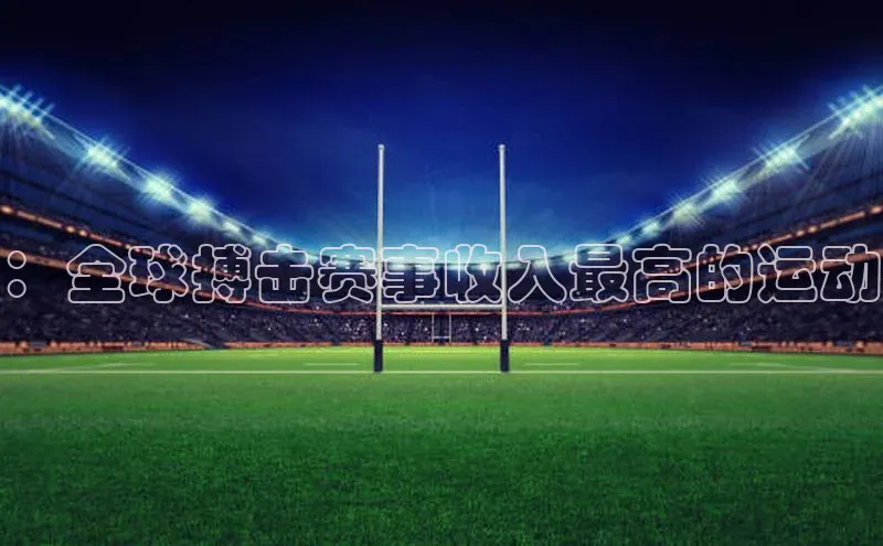 杏盛app官方下载最新版本更新内容华策影视：全球搏击赛事收入最高的运动