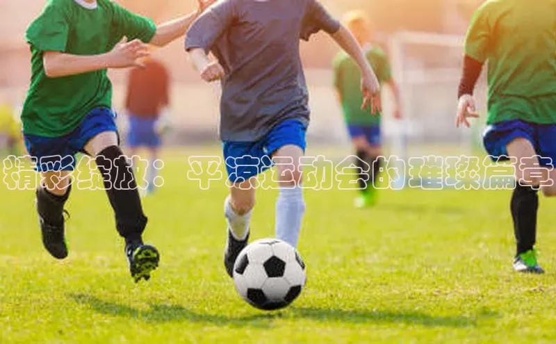 精彩绽放：平凉运动会的璀璨篇章