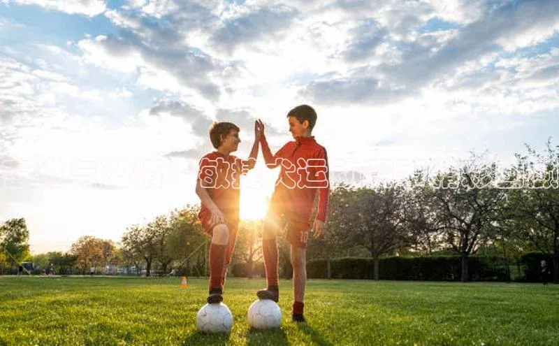 奋进与激情：敏捷犬运动赛事精彩回顾