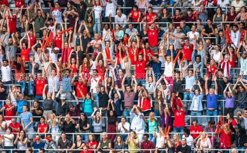 娄底市精彩纷呈的近期运动赛事：活力四射的社区运动会与专业比赛动态