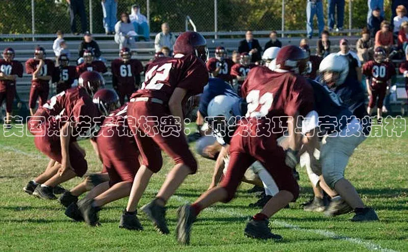 美国斯诺克锦标赛：顶尖技巧与竞技精神