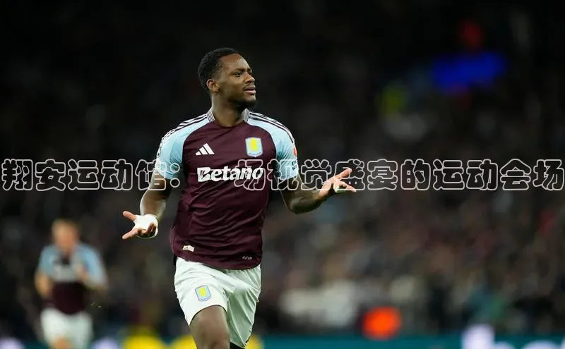 翔安运动馆：一场视觉盛宴的运动会场