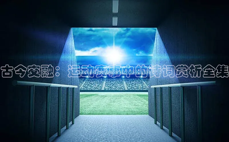 杏盛测速app官方下载最新版